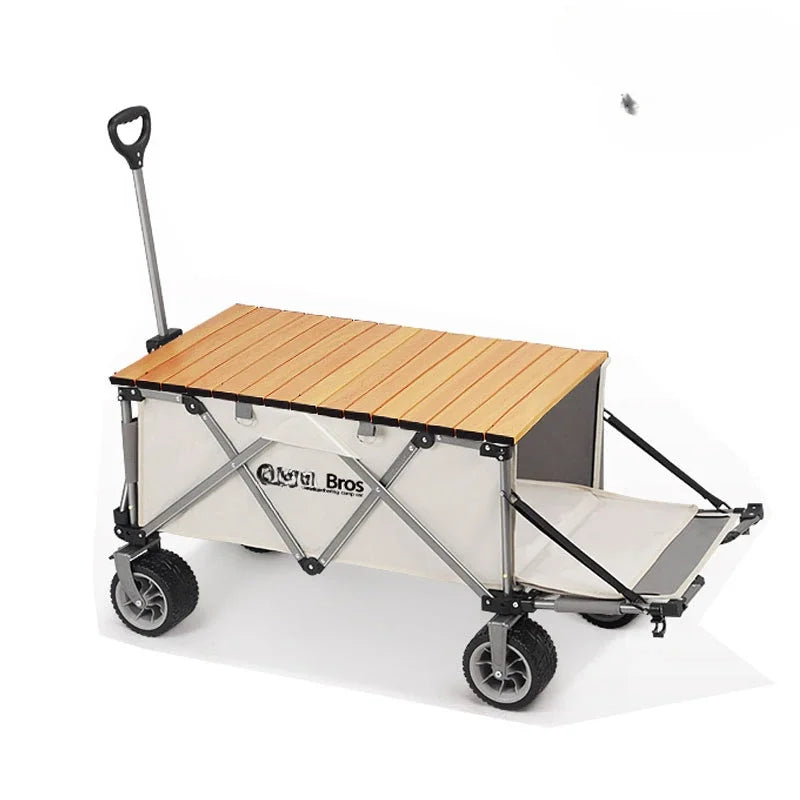 Beach Buggy with Large Capacity